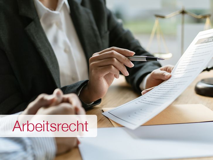 Einführung in das Arbeitsrecht